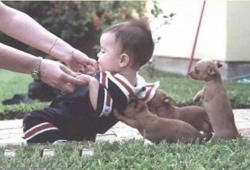 人和动物恶搞图片之小主人加油呀