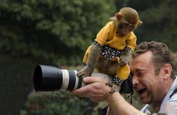 动物爆笑趣图之人类是怎样拍照的