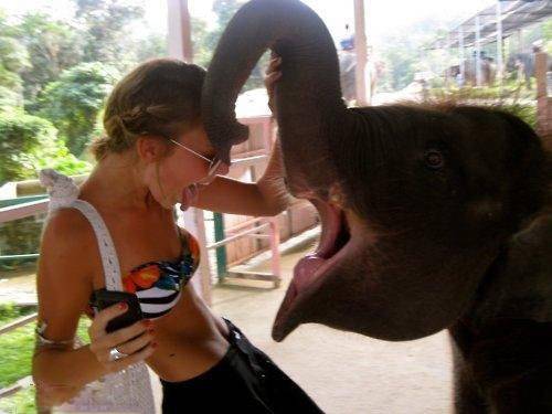 爆笑动物搞笑趣图欣赏