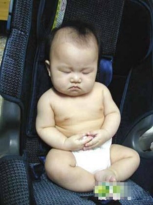 儿童爆笑图片之潜心修行