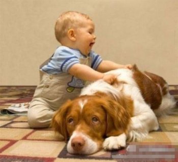 小孩动物搞笑图片