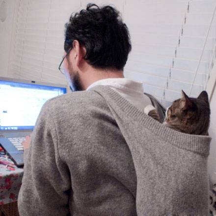 二货猫咪图片之我陪你加班