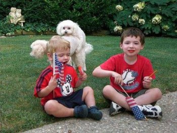 邪恶亮点图片之你们在干吗