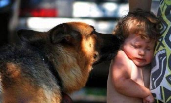 狗狗爆笑图片之我要亲亲你