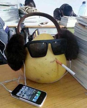 趣图恶搞表情之骚气的柚富帅