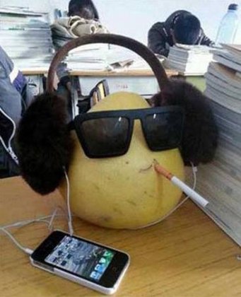 趣图恶搞表情之骚气的柚富帅