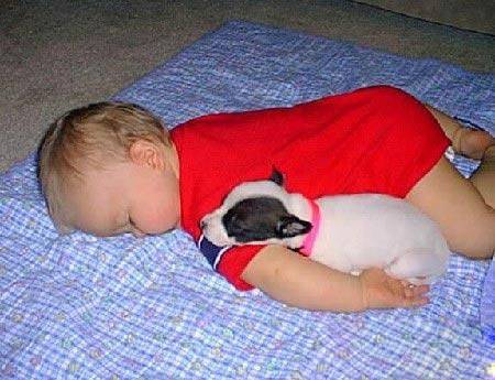 儿童爆笑图片之相依相偎