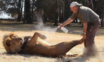 动物恶搞萌图之我也要清凉一下