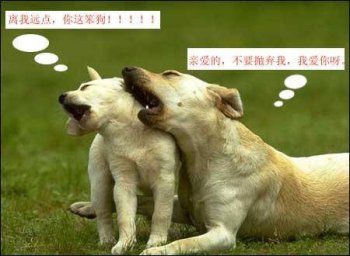 恶搞狗狗图片之别离开我