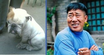 p脸搞笑图片之有点眼熟