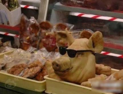 霸气搞笑图片之很帅的猪头