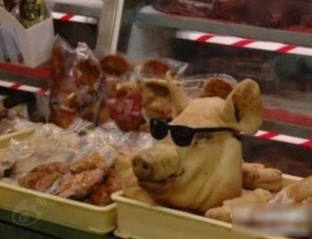 霸气搞笑图片之很帅的猪头