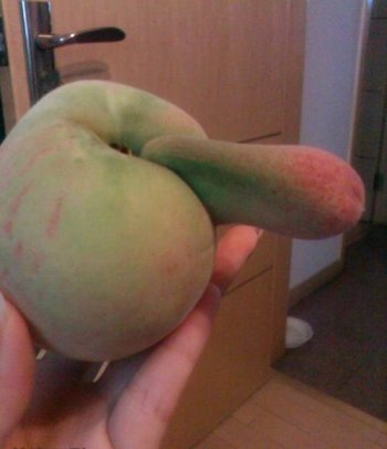 邪恶内涵图之YD的桃子