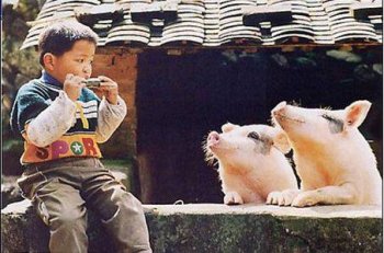 人和动物恶搞图片之音乐爱好者