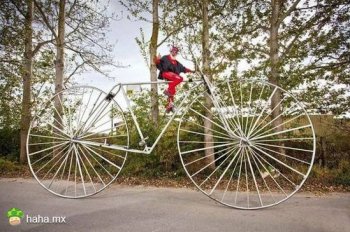 搞笑骑单车图片之难驾驭的加大码