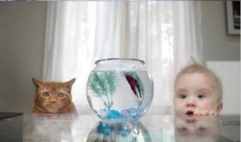 儿童搞笑图片之我与猫咪的爱好