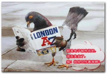 搞笑图片大全之搞IT的，伤不起啊