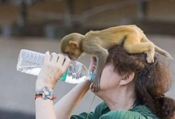 搞笑的图片之我也要喝