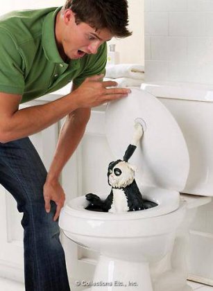 最最恶搞的趣图之打开马桶后？