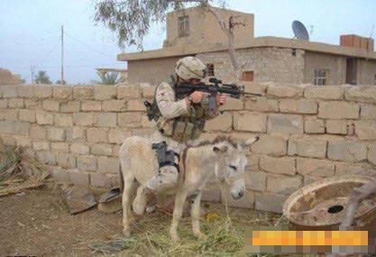 cf搞笑图片笑死人之这个座驾不简单