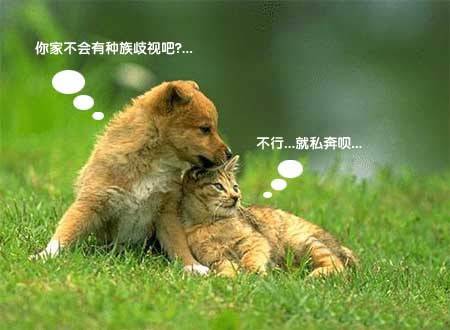内涵图片笑死人之看这对狗男女！