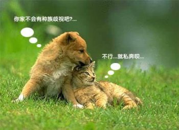 内涵图片笑死人之看这对狗男女！