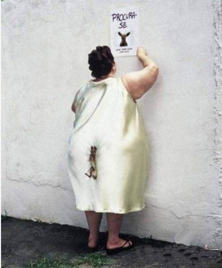 搞笑图片笑死人之寻找丢失的宠物