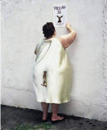 搞笑图片笑死人之寻找丢失的宠物