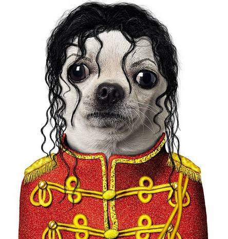 恶搞动物图片之超强动物模仿秀