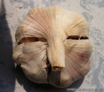 个性搞笑图片之我并没有装蒜