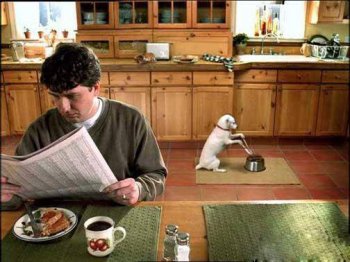 动物吃饭搞笑图片之共进早餐