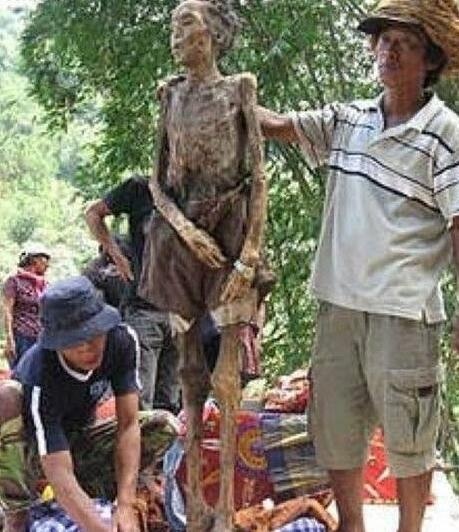 千年古墓走出活女尸