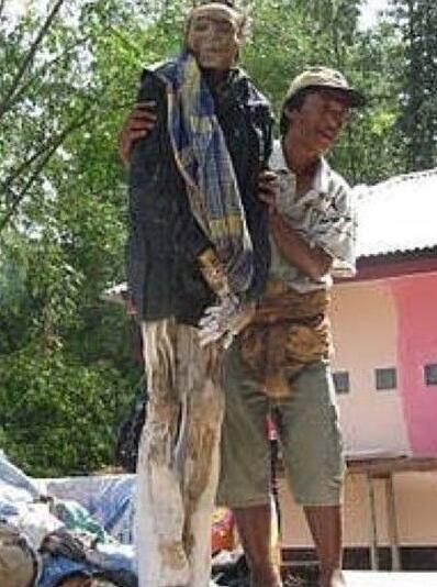 千年古墓走出活女尸