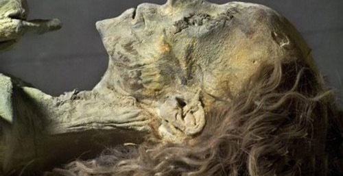 千年古墓走出活女尸