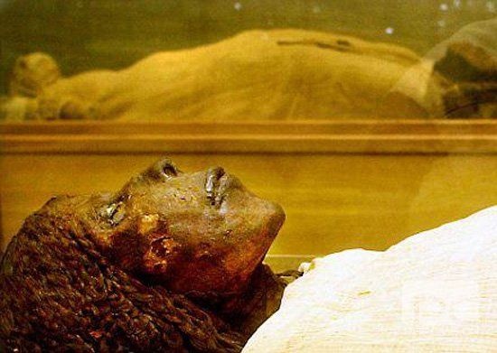 埃及恐怖木乃伊图片