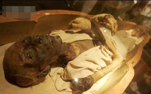 埃及恐怖木乃伊图片