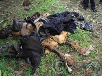 95成都僵尸事件图片