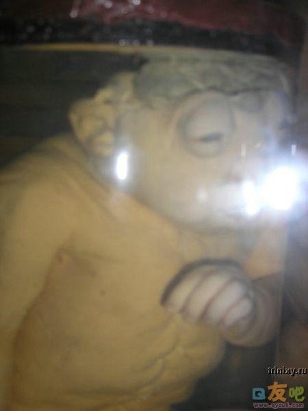 恐怖的人体标本图片