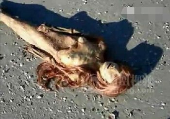 美人鱼尸体图片