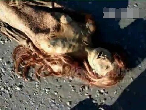 美人鱼尸体图片