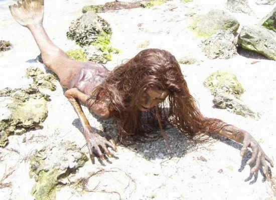 美人鱼尸体图片