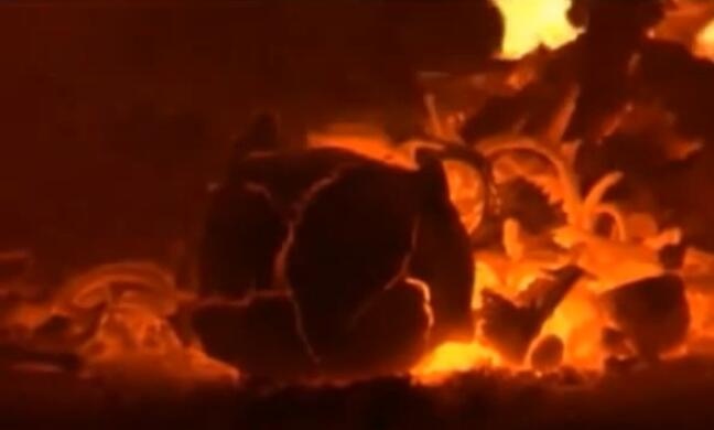 火葬场火化遗体真实过程