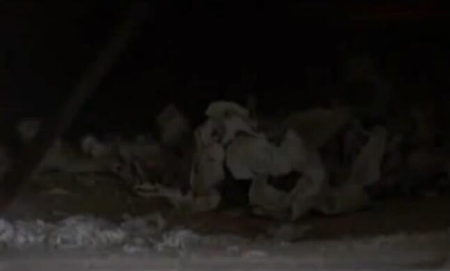 火葬场火化遗体真实过程