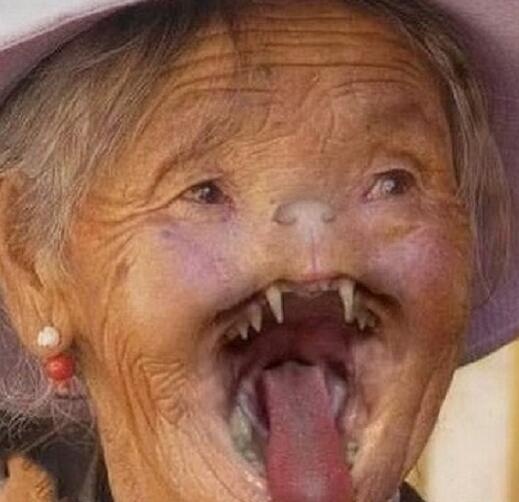 哈尔滨猫脸老太太图片