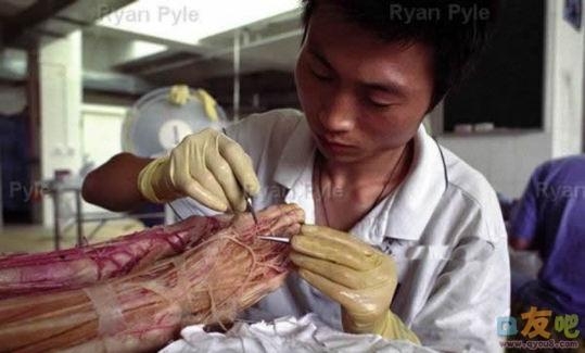 尸体 恐怖车祸尸体图片