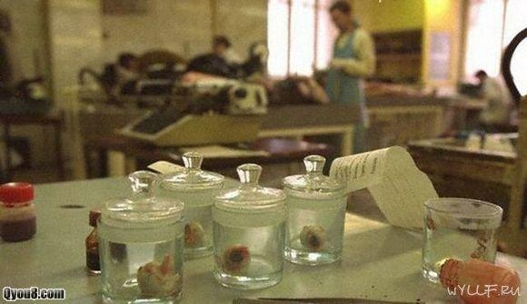 尸体 恐怖车祸尸体图片