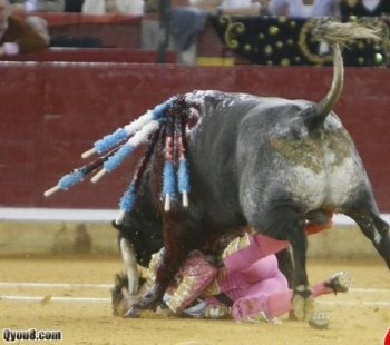 斗牛士的悲惨命运