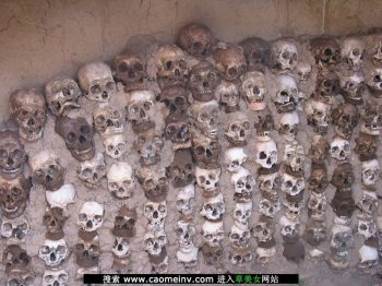乱葬岗死人堆到处是头颅