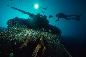 世界十大最恐怖图片