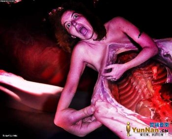 欧美超级恐怖图 扯开的身体